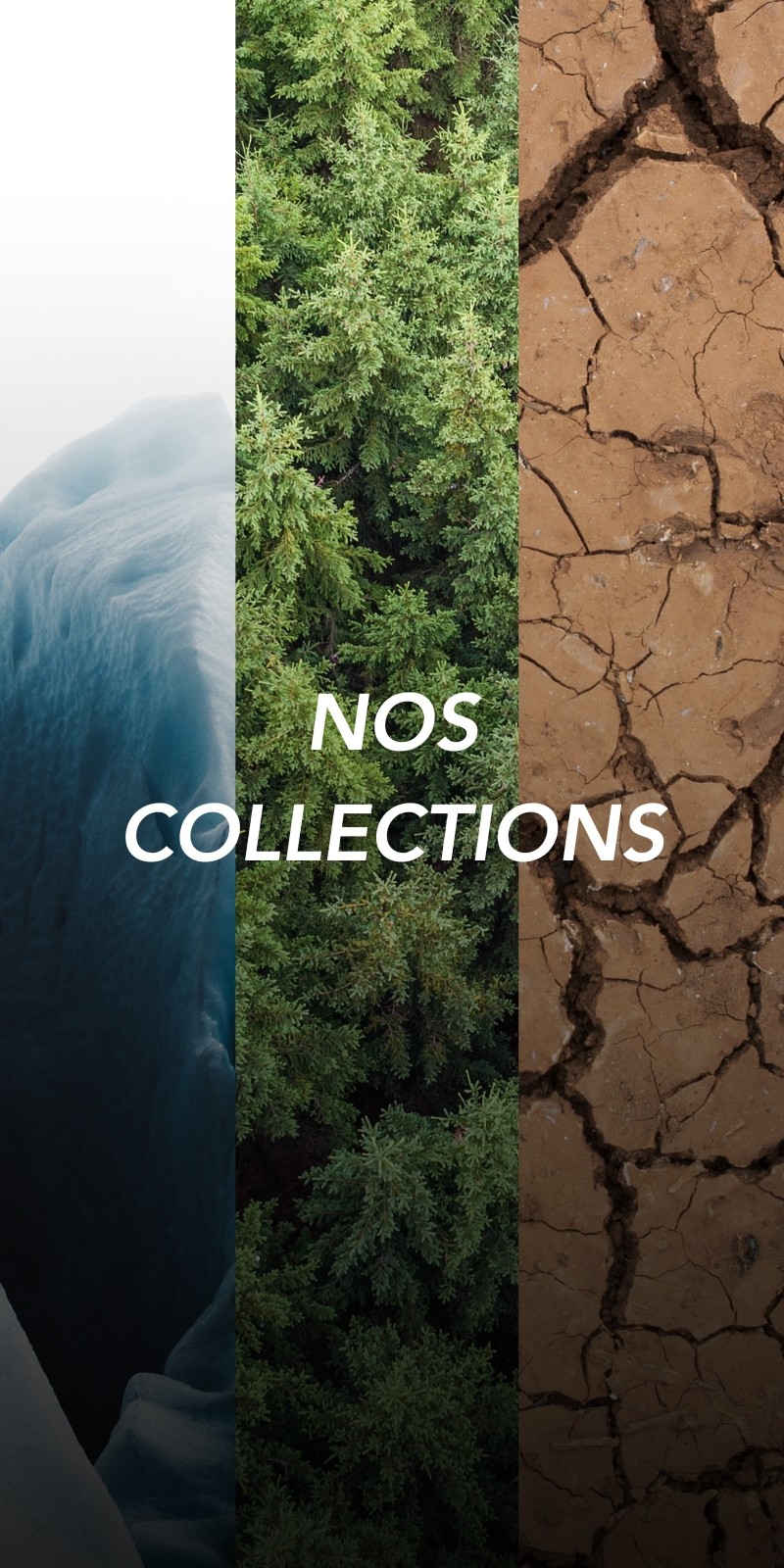 NOS COLLECTIONS